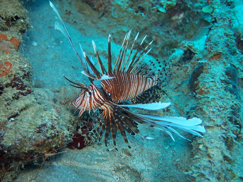 Curacao 04-12 226.JPG